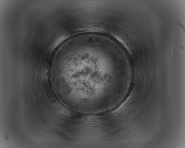 X0000093211163200709261550