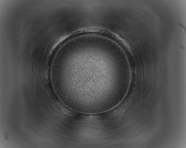 X0000093211166200709261550