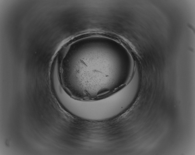X0000093211168200709261550