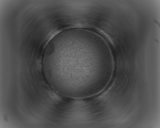 X0000093211170200709261550
