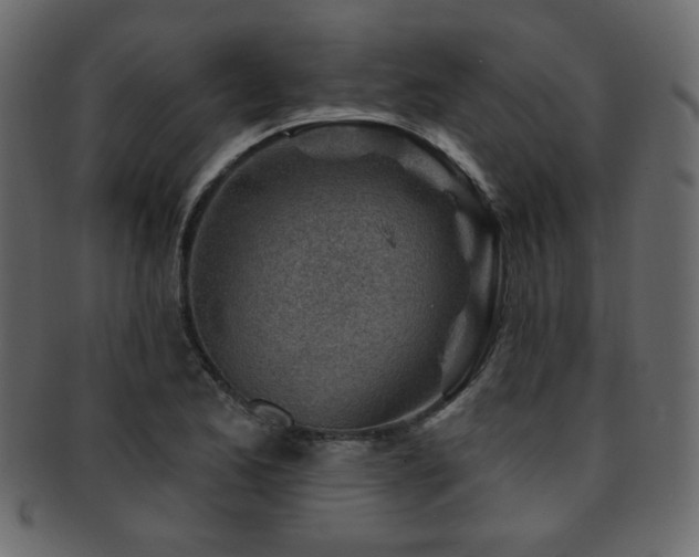 X0000093211173200709261550