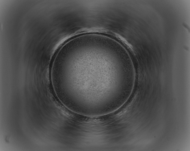 X0000093211174200709261550