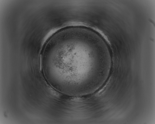 X0000093211175200709261550