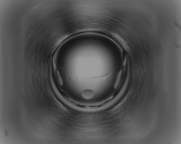 X0000093211177200709261550