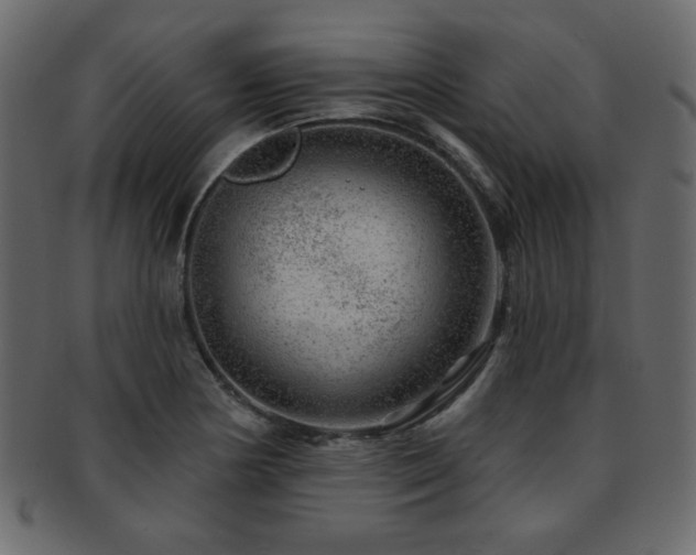 X0000093211178200709261550
