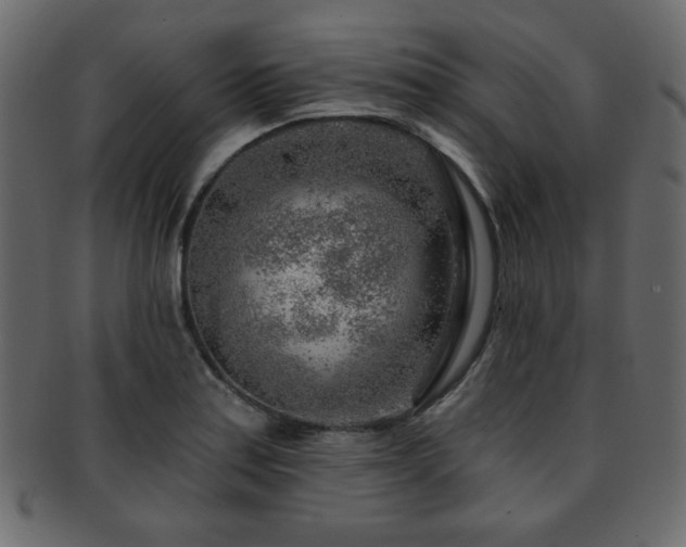X0000093211179200709261550