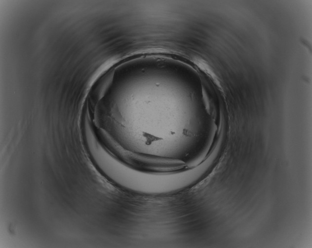 X0000093211181200709261550