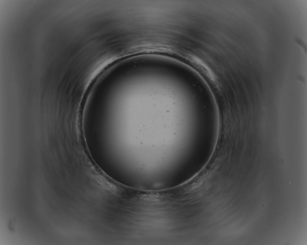 X0000093211182200709261550