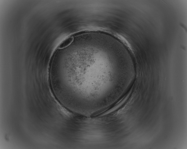 X0000093211183200709261550