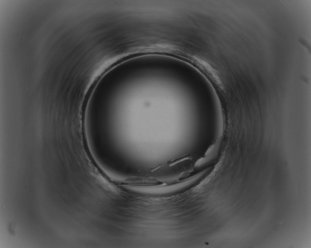 X0000093211184200709261550