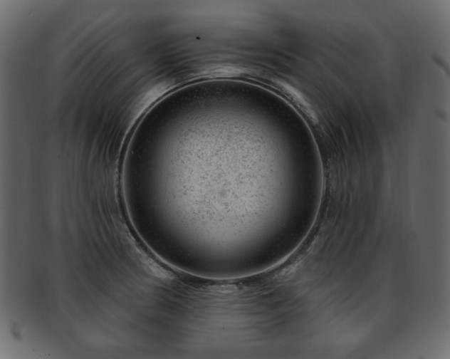 X0000093211186200709261550