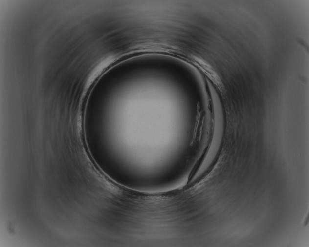 X0000093211188200709261550