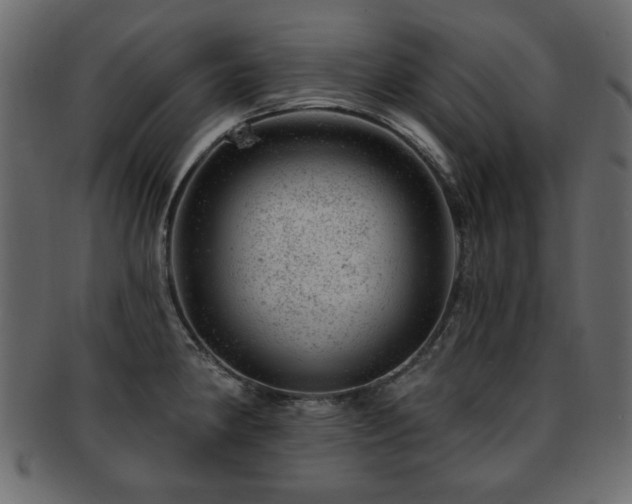 X0000093211190200709261550