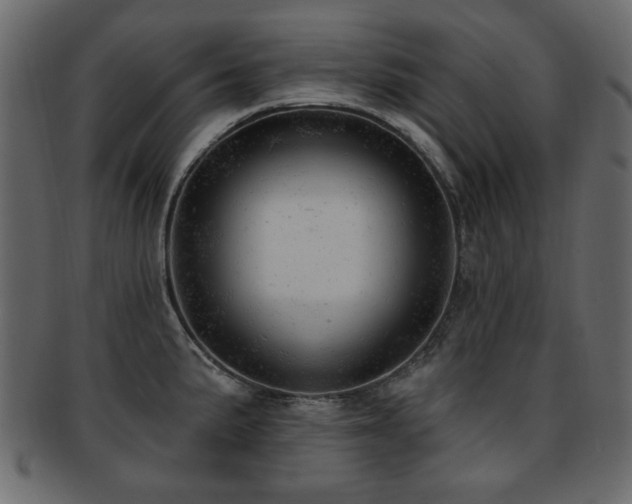 X0000093211191200709261550
