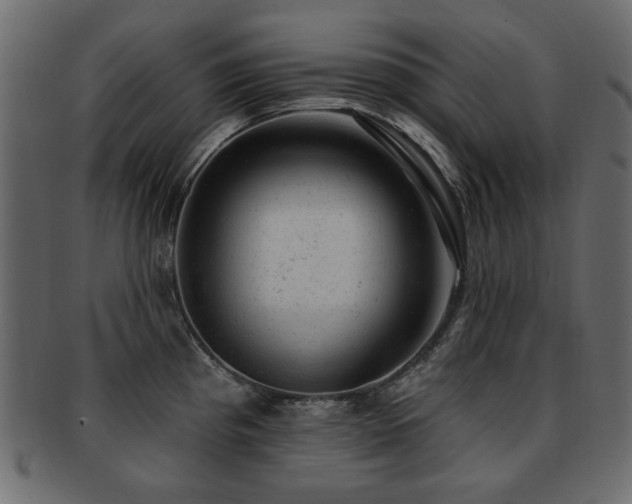 X0000093211193200709261550