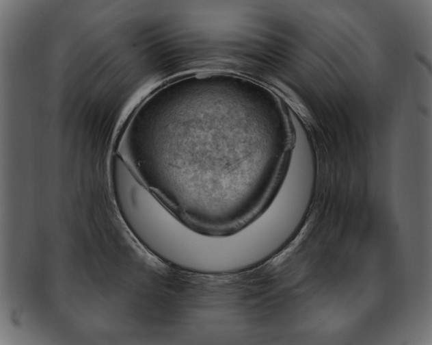 X0000093211196200709261550
