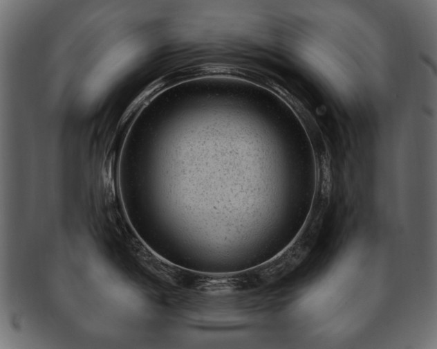 X0000093211198200709261550