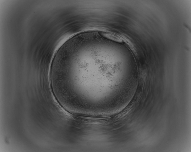 X0000093211199200709261550
