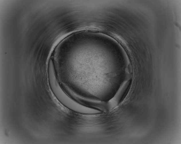 X0000093211200200709261550