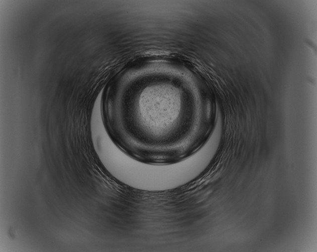 X0000093211202200709261549