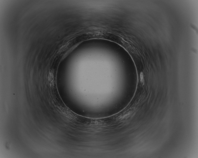 X0000093211203200709261549