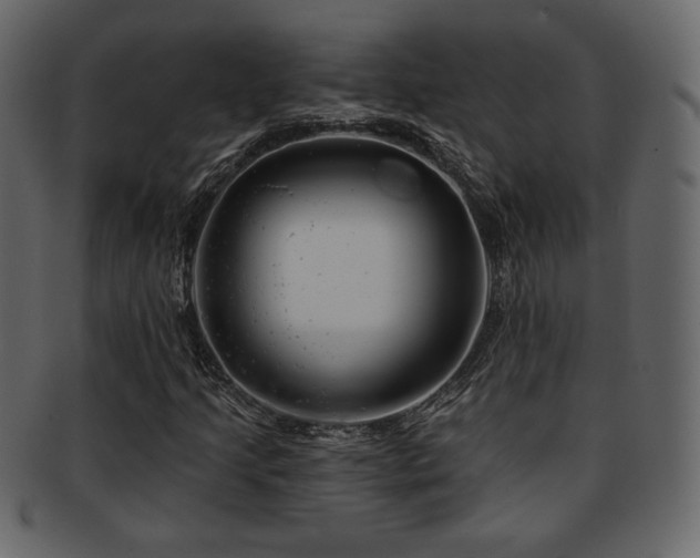 X0000093211205200709261549