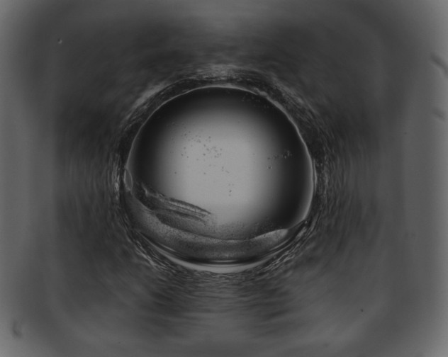 X0000093211206200709261549