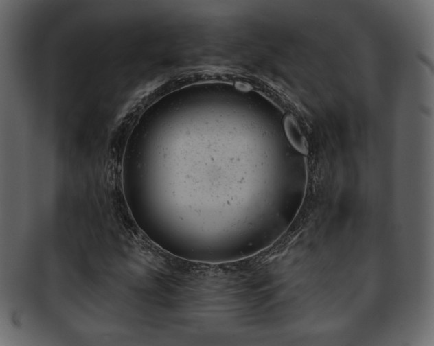 X0000093211207200709261549