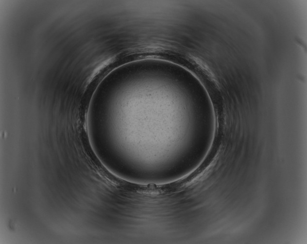 X0000093211210200709261549