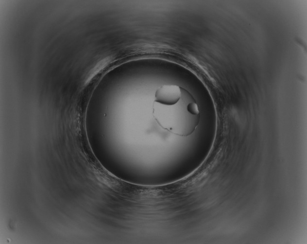 X0000093211211200709261549