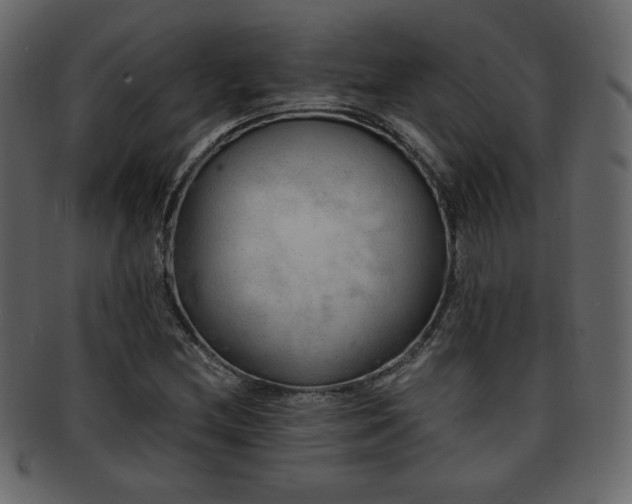 X0000093211212200709261549