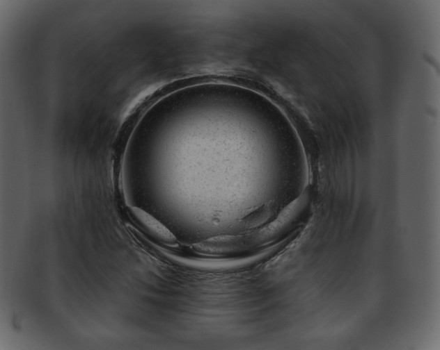 X0000093211214200709261549