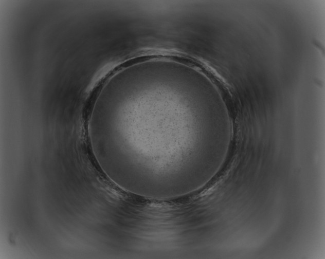 X0000093211215200709261549