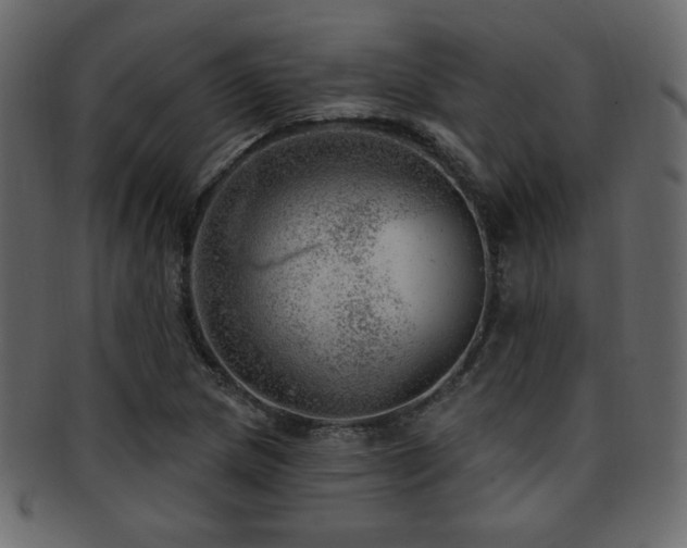 X0000093211217200709261549