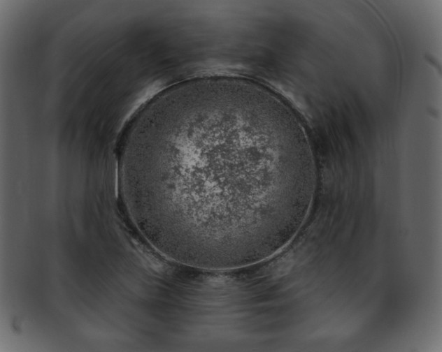 X0000093211219200709261549