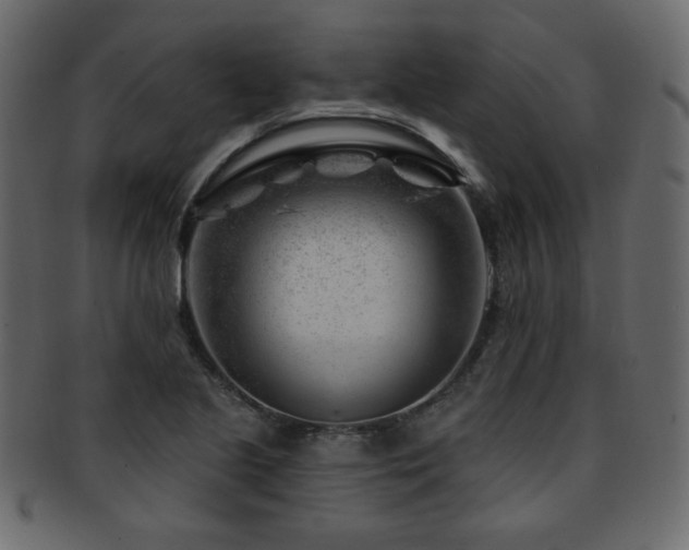 X0000093211221200709261549