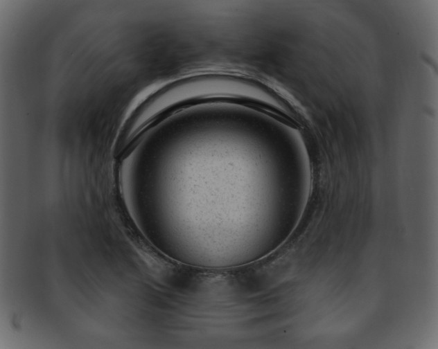 X0000093211222200709261549