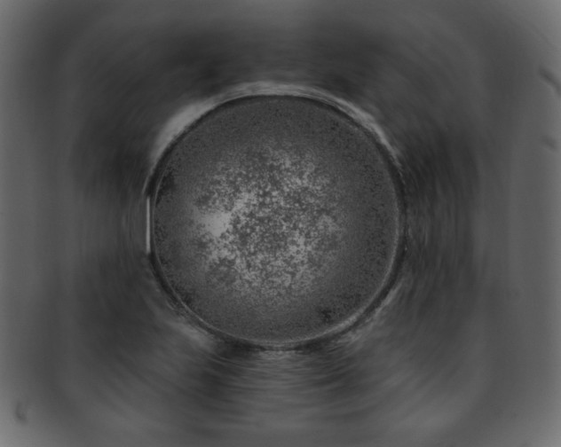 X0000093211223200709261549