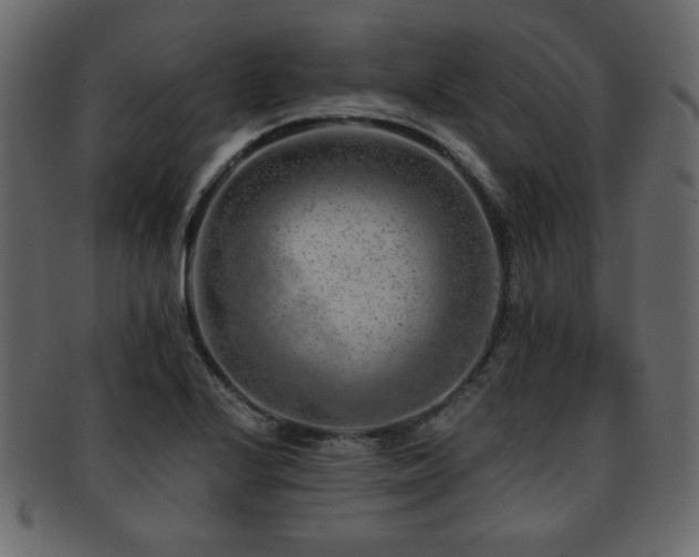 X0000093211224200709261549