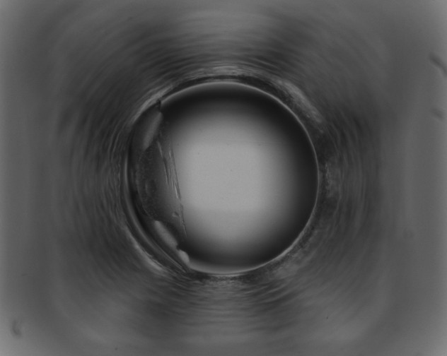 X0000093211225200709261549