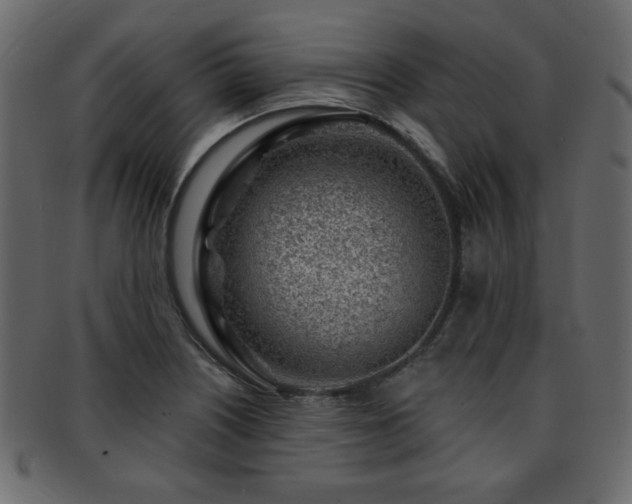 X0000093211226200709261549