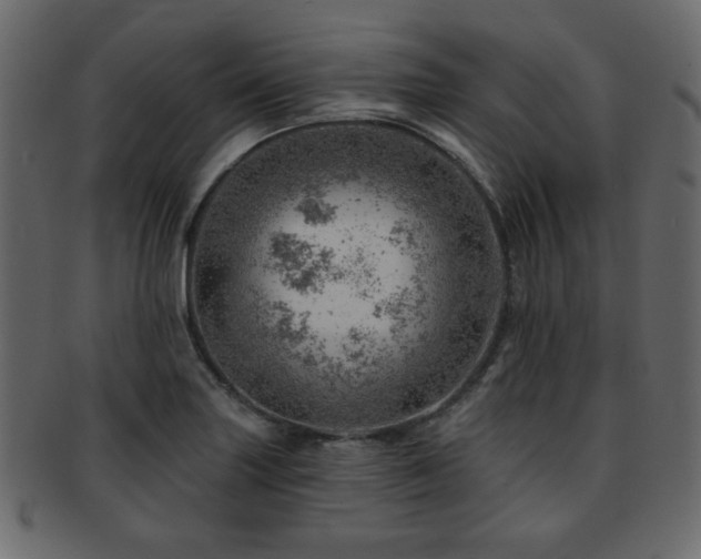 X0000093211227200709261549