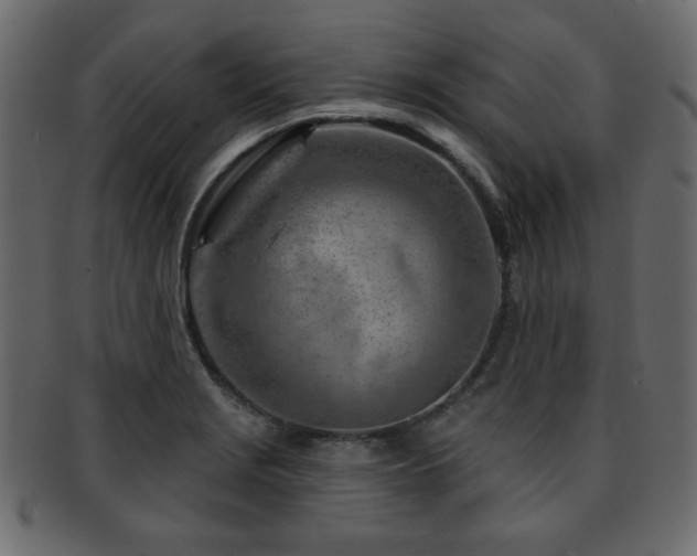 X0000093211229200709261549