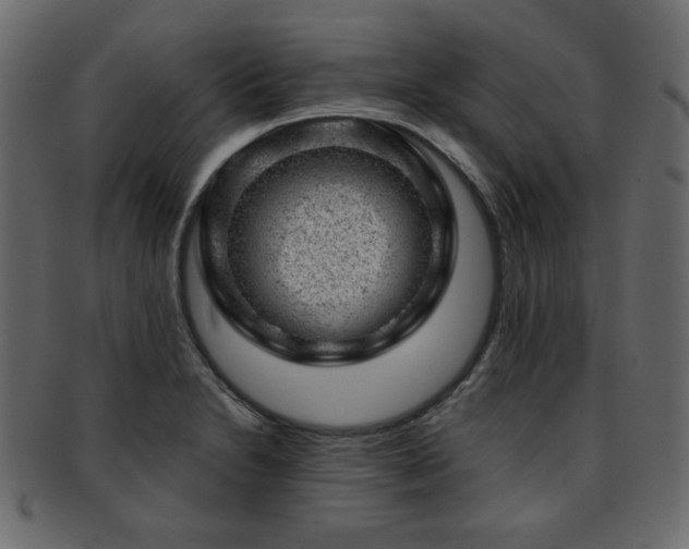 X0000093211230200709261550
