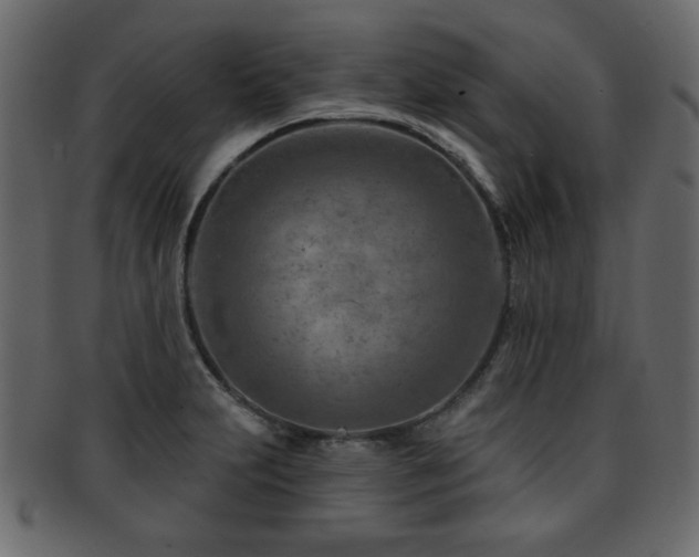 X0000093211231200709261550