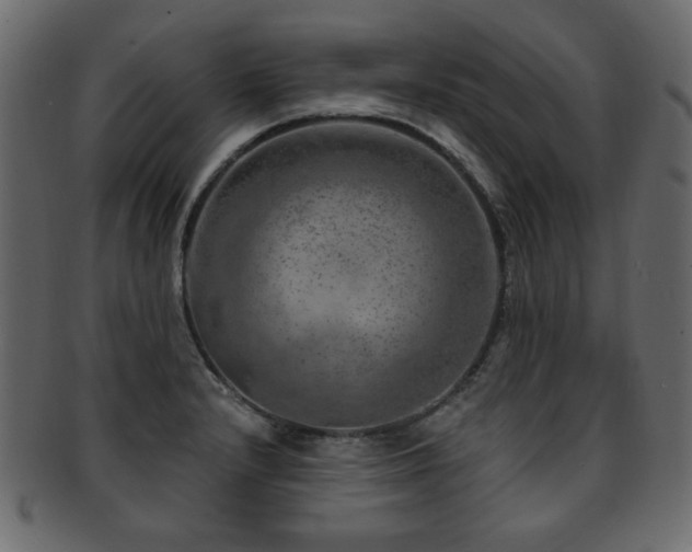 X0000093211232200709261550