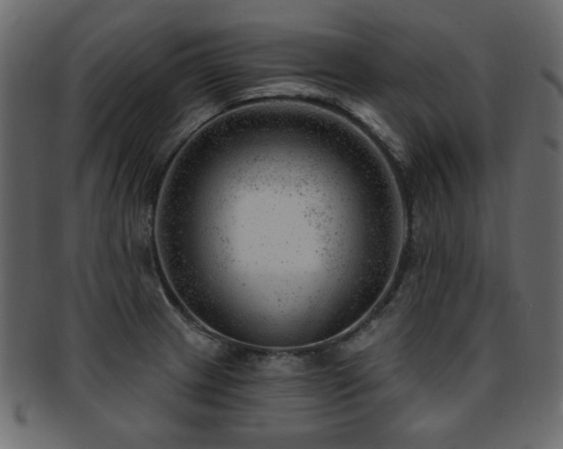 X0000093211233200709261550