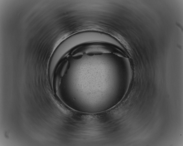 X0000093211234200709261550