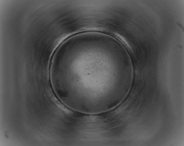 X0000093211236200709261550