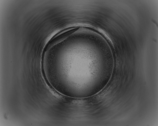 X0000093211237200709261550